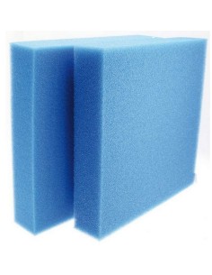 AMTRA Biocell Block 2