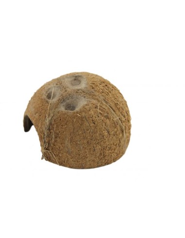 Rifugio mezza noce di cocco Ceramic Nature