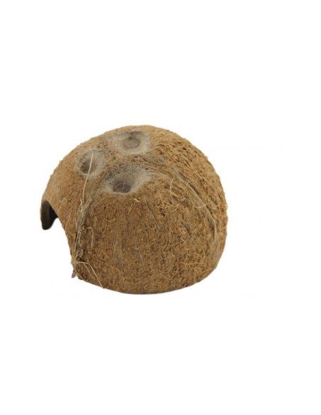 Rifugio mezza noce di cocco Ceramic Nature