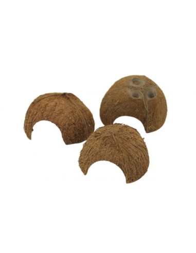 Rifugio mezza noce di cocco Ceramic Nature