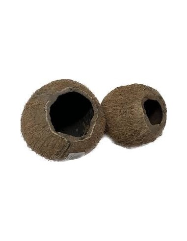 Cocco Cave 3/4 Ceramic Nature