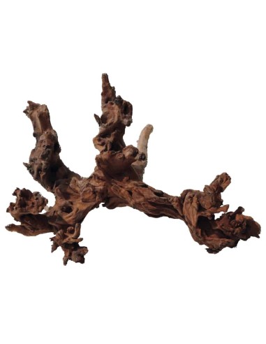 Legno Mystic Wood