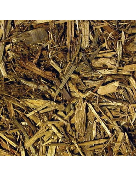 LETTIERA PER PAVIMENTI FORESTALI ZOO MED - Forest Floor Bedding