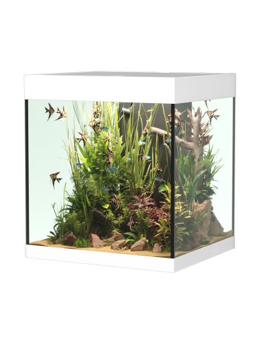 Acquario Askoll Opera 80 completo