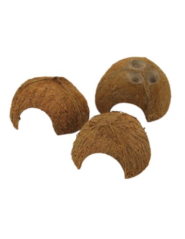 Mezza noce di cocco Cave  Ceramic Nature