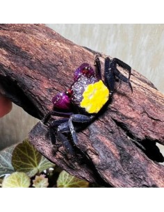 Geosesarma Dennerle "Purple Vampire Crab"