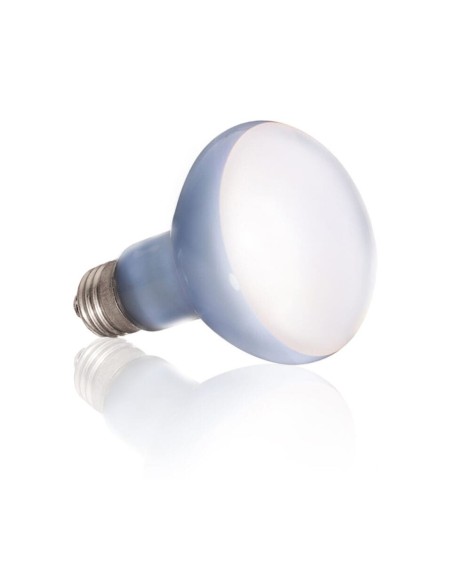 ExoTerra Daylight Basking Spot - lampada al Neodymium ad ampio spettro