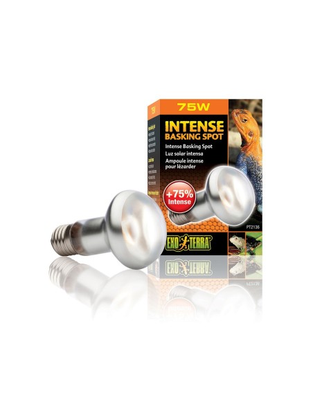 xoTerra Intense Basking Spot - lampada per terrari a luce concentrata