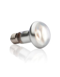xoTerra Intense Basking Spot - lampada per terrari a luce concentrata 2