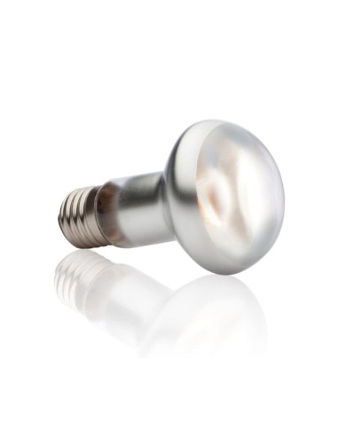 xoTerra Intense Basking Spot - lampada per terrari a luce concentrata