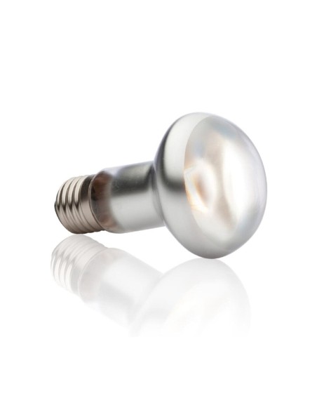 xoTerra Intense Basking Spot - lampada per terrari a luce concentrata