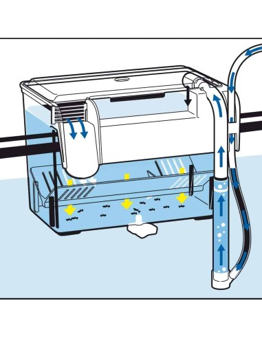 Sala parto esterna AMTRA
