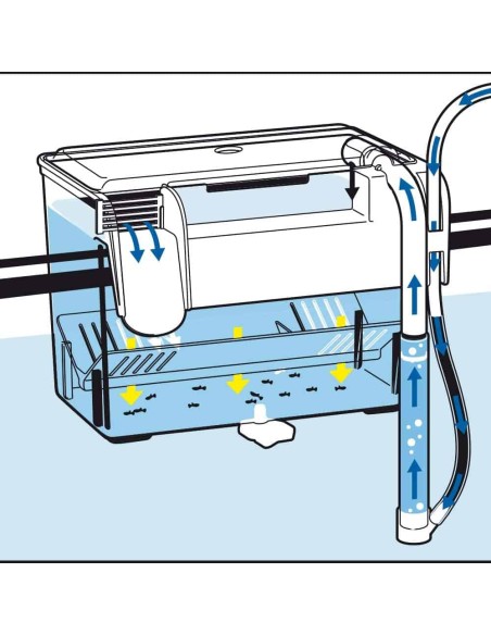Sala parto esterna AMTRA