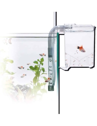 Sala parto esterna AMTRA