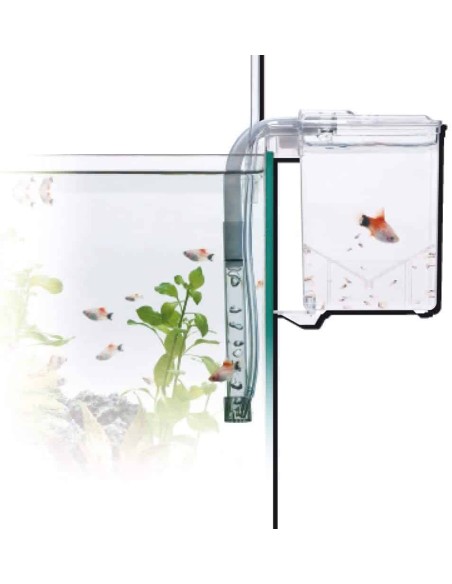 Sala parto esterna AMTRA