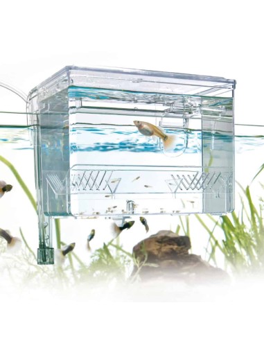 Sala parto esterna AMTRA