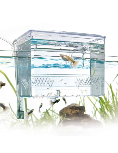 Sala parto esterna AMTRA