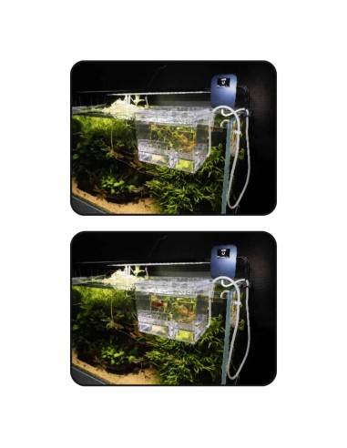 Sala parto esterna AMTRA