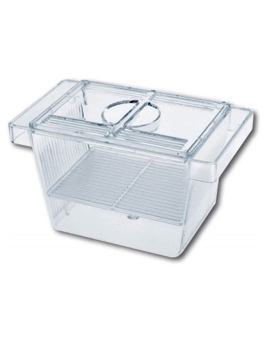 Sala parto piccola AMTRA