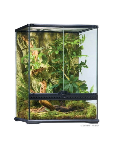 Exo Terra Glass Terrarium 60x45x30