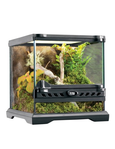 Terrario Exo Terra Glass Terrarium 20x20x20