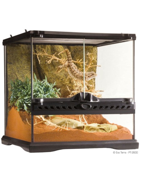 Terrario Exo Terra Glass Terrarium 30x30x30
