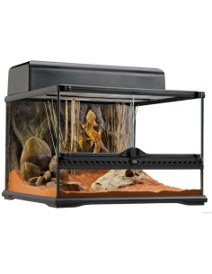 Terrario Exo Terra Glass Terrarium 45x45x30