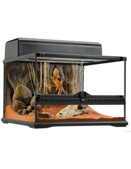 Terrario Exo Terra Glass Terrarium 45x45x30