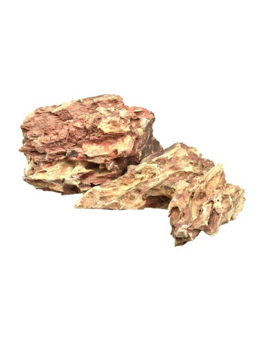 AQPET - Zen Stone Dragon - Roccia Naturale