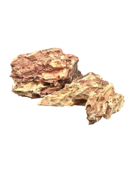 AQPET - Zen Stone Dragon - Roccia Naturale