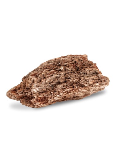AqPet zen stone - Rocce Red Wood Fossil