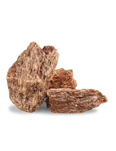 AqPet zen stone - Rocce Red Wood Fossil