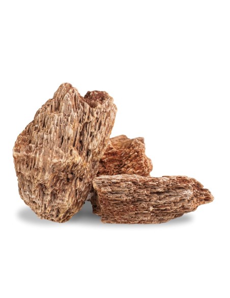 AqPet zen stone - Rocce Red Wood Fossil