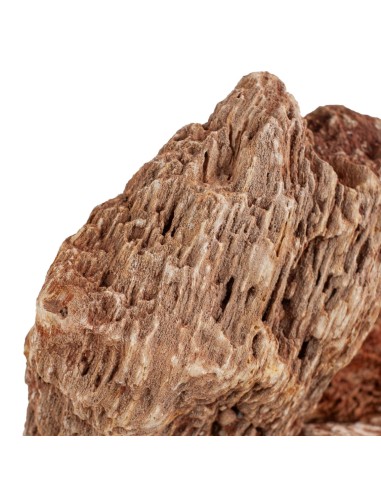 AqPet zen stone - Rocce Red Wood Fossil