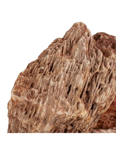 AqPet zen stone - Rocce Red Wood Fossil