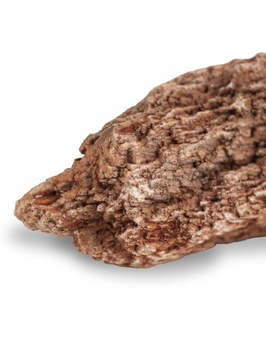 AqPet zen stone - Rocce Red Wood Fossil
