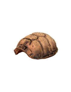Turtle Cave Small Ceramic Nature