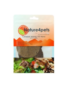 Foglie di Catappa Nano