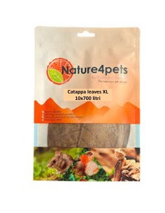 Foglie di Catappa XL - Confezione da 10 foglie