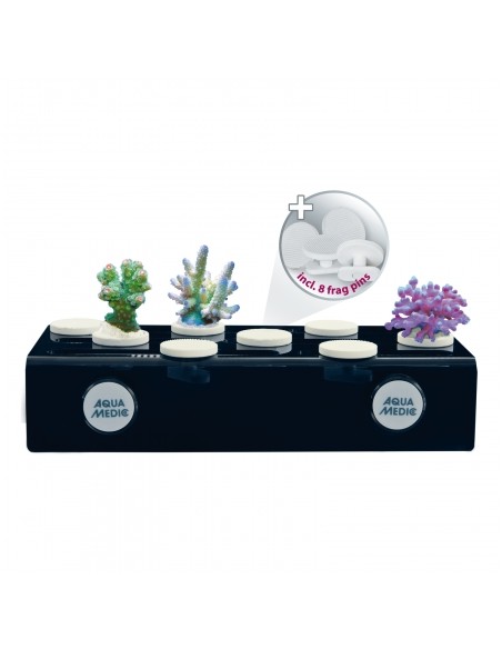Aquamedic - Frag Board Mag - Supporto per talee