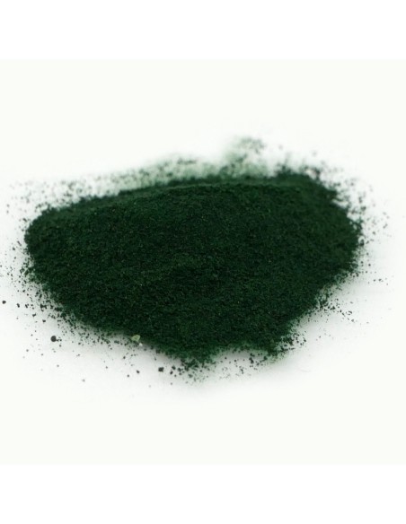 Spirulina in polvere per invertebrati e avannotti  River Aqua Food