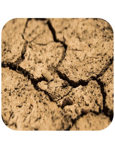 Terrario Monument Mud 1 kg - miscela di argilla