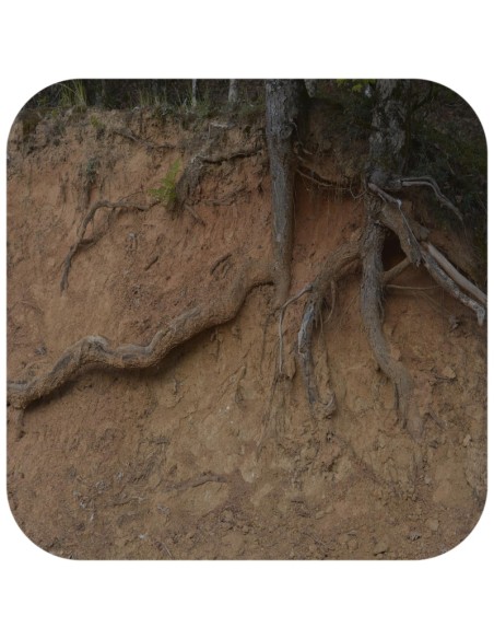 Terrario Monument Mud 1 kg - miscela di argilla