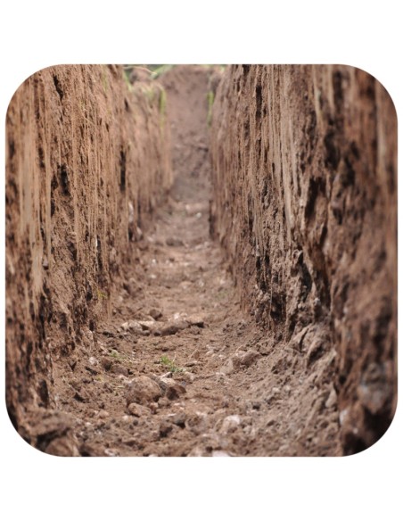 Terrario Monument Mud 1 kg - miscela di argilla