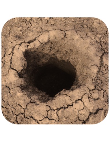 Terrario Monument Mud 1 kg - miscela di argilla