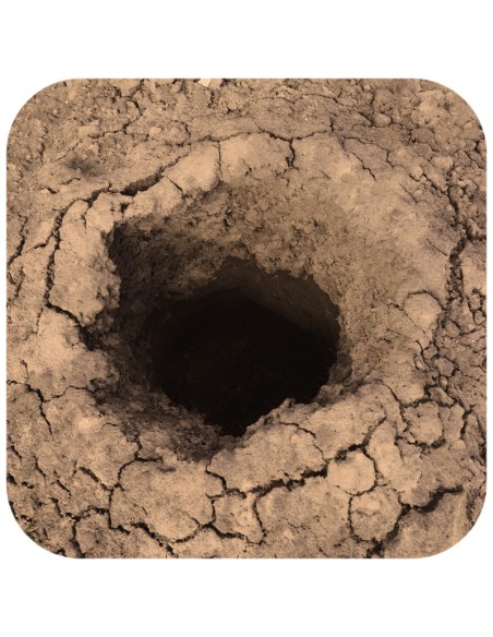 Terrario Monument Mud 1 kg - miscela di argilla