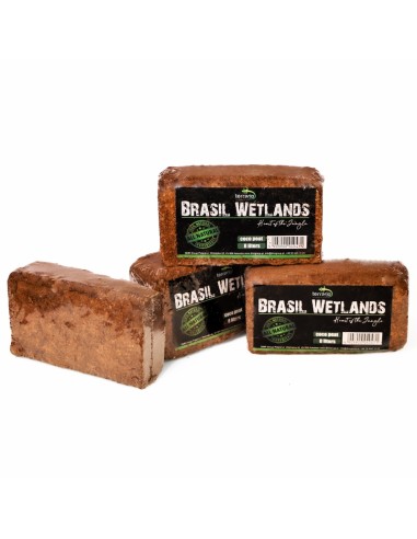 Terrario Brasil Wetlands 7l - substrato in...