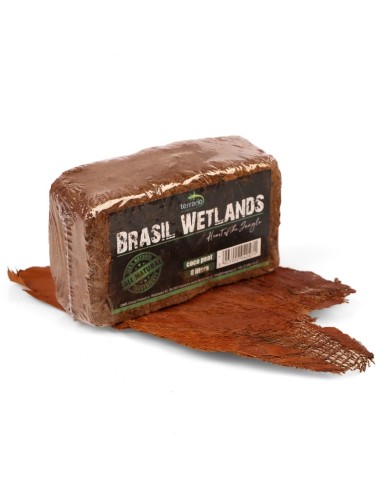 Terrario Brasil Wetlands 7l - substrato in...