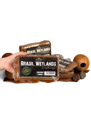 Terrario Brasil Wetlands 4l - substrato in...