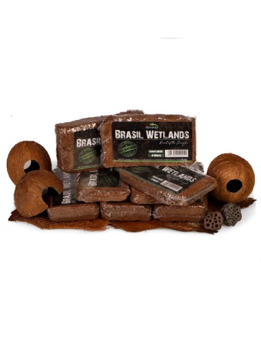 Terrario Brasil Wetlands 4l - substrato in...